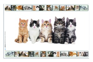 Asztali könyöklő 33x55 cm Herma "Cats"