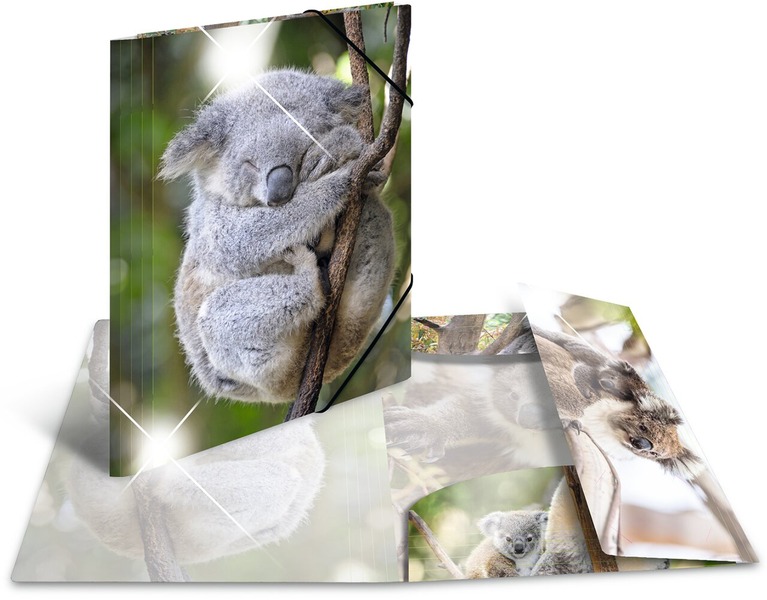 Gumis mappa A/4 PP Herma "Glossy" Koala