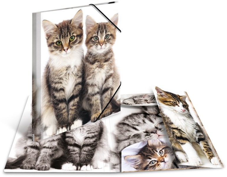 Gumis mappa A/4 PP Herma "Favourite Pets" Cicák