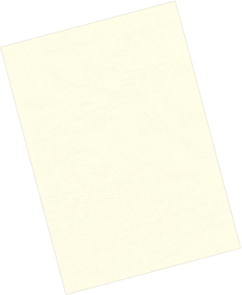 Hátlap A/4 250 g, karton Fellowes "Delta" matt elefántcsont