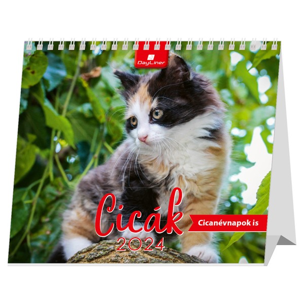 Asztali naptár, álló DayLiner "Cicák" fehér