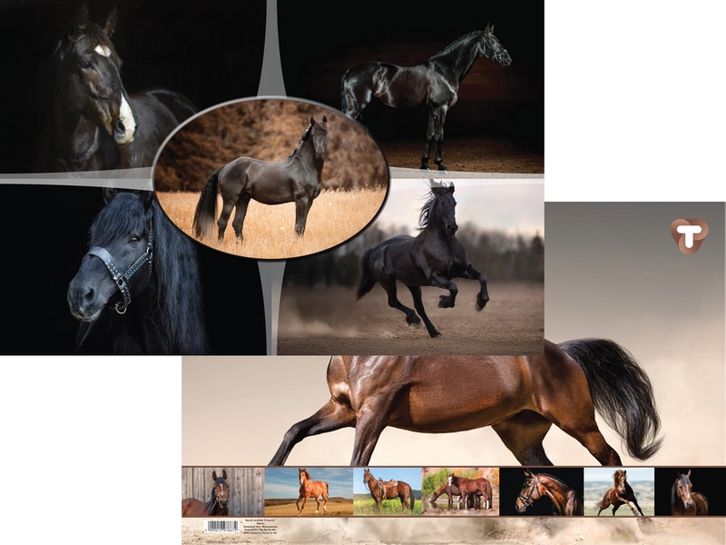 Asztali könyöklő 54,5x34 cm T-Creativ "Horses"