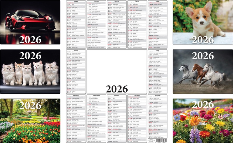 Plakátnaptár A/3 T-Calendar vegyes minta