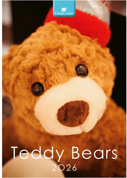 Falinaptár 23x33 cm spirálozott DayLiner "Teddy"