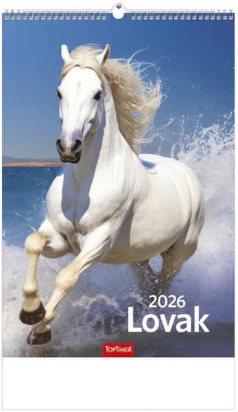 Falinaptár 22x33 cm spirálozott TopTimer "Lovak"