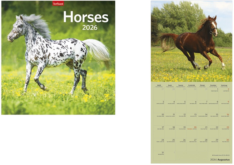 Falinaptár 29x58 cm tűzött TopTimer "Horses"