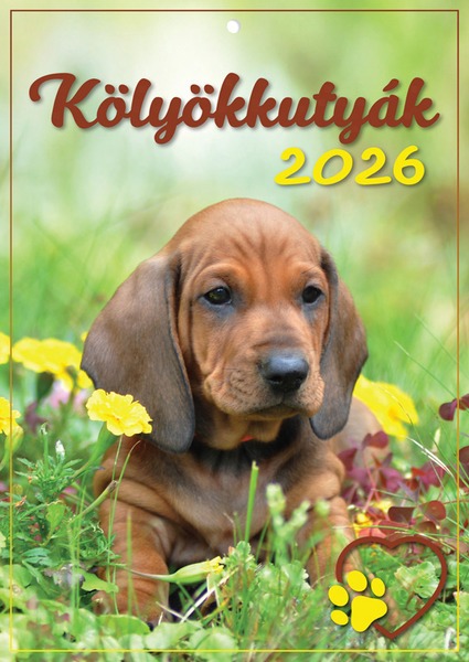Falinaptár A/4 tűzött T-Calendar "Kölyökkutyák"