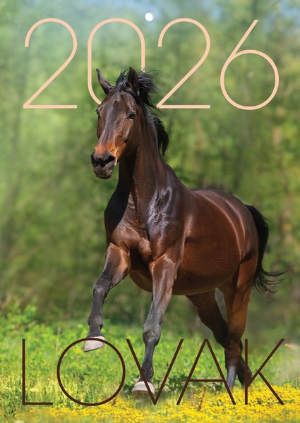 Falinaptár A/4 tűzött T-Calendar "Lovak"