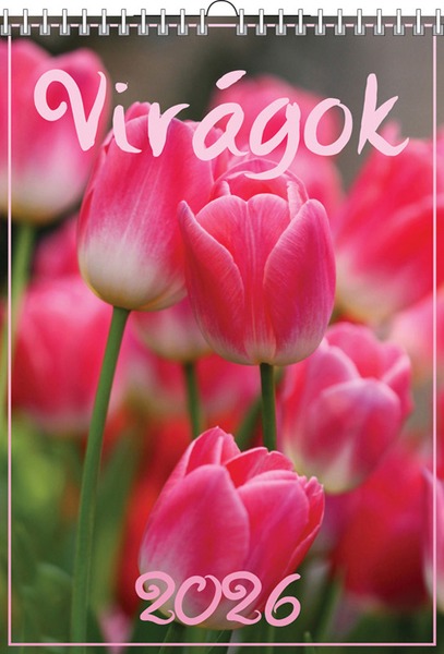 Falinaptár 23x33 cm spirálozott T-Calendar "Virágok"