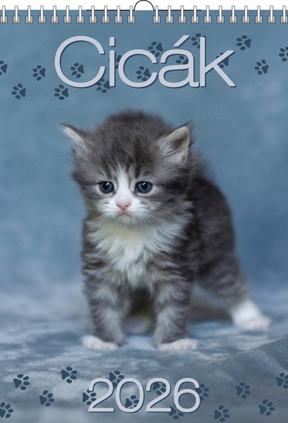 Falinaptár 23x33 cm spirálozott T-Calendar "Cicák"