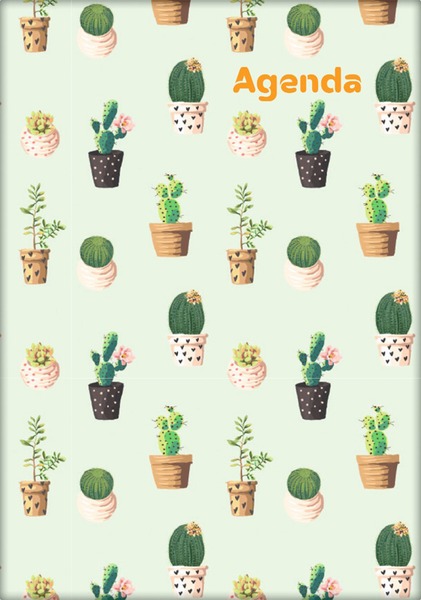 Határidőnapló A/5 napi DayLiner "Colors" Cactus