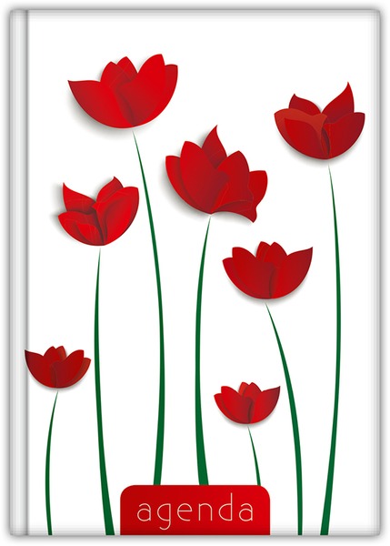 Határidőnapló A/5 napi DayLiner "Colors" Flower
