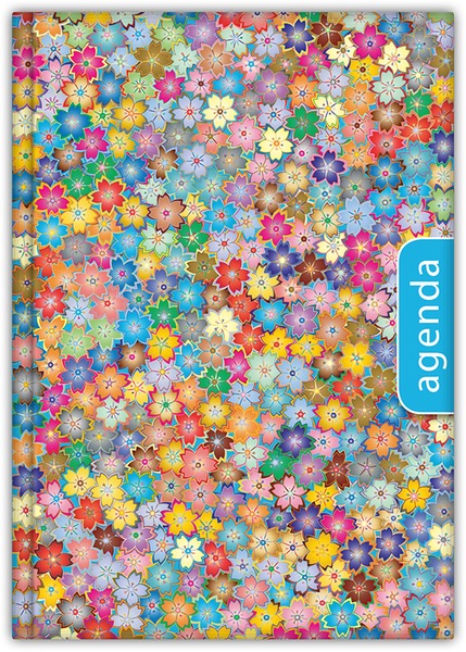 Határidőnapló A/5 napi DayLiner "Colors" Spring kék