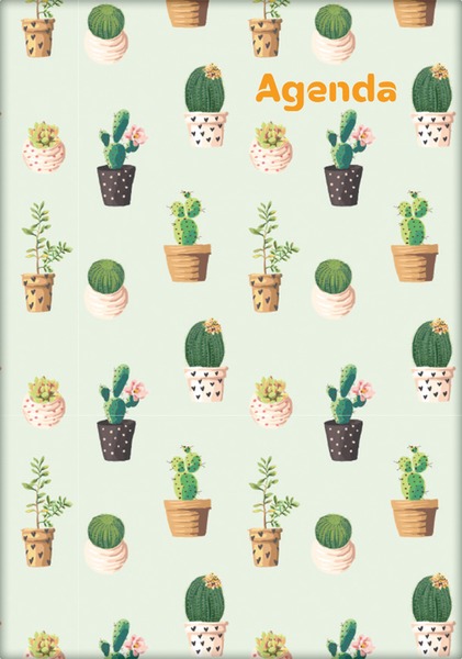 Határidőnapló A/5 heti DayLiner "Colors" Cactus