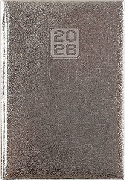 Határidőnapló B/6 heti DayLiner "Mirror" ezüst