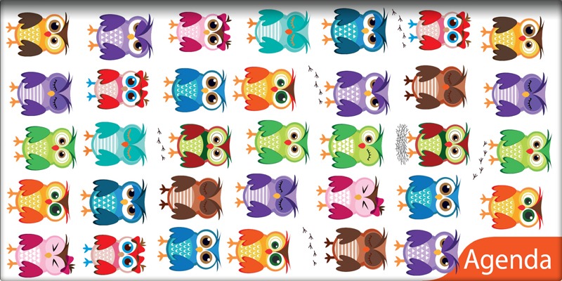 Zsebnaptár heti, fekvő DayLiner "Colors" Happynest narancs