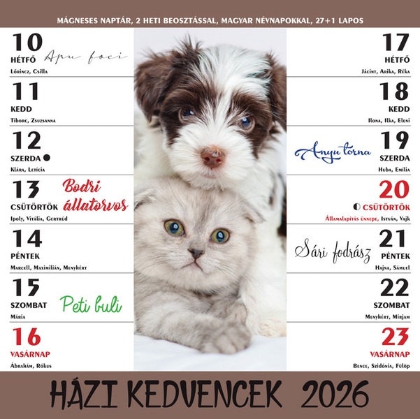 Falinaptár 22x22 cm mágneses T-Calendar "Házi kedvencek"