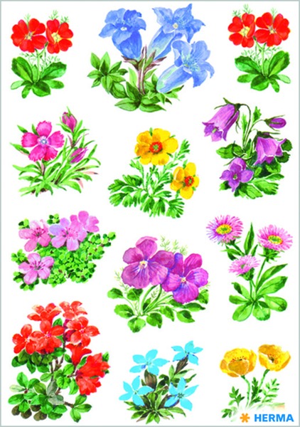 Matrica Herma "Decor" Mountain Flowers