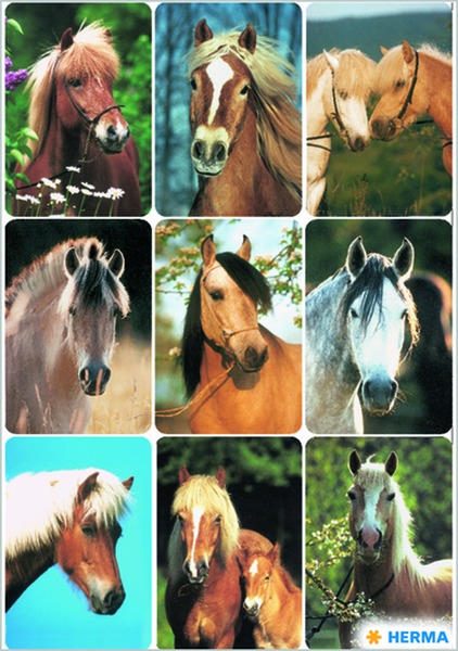 Matrica Herma "Decor" Horse Heads