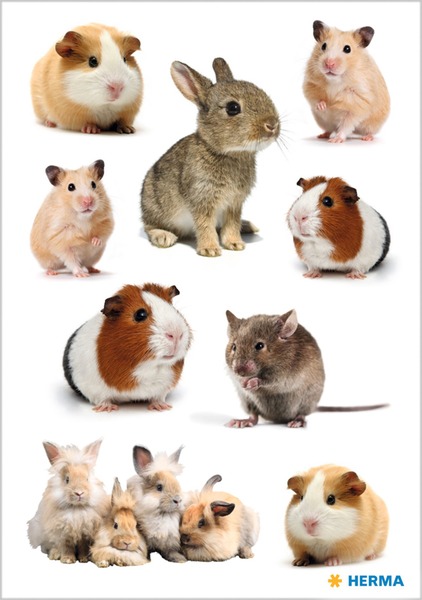 Matrica Herma "Decor" Rodent Family