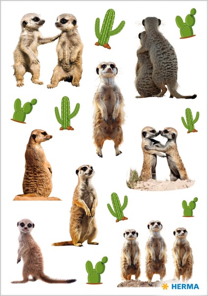 Matrica Herma "Decor" Meerkats
