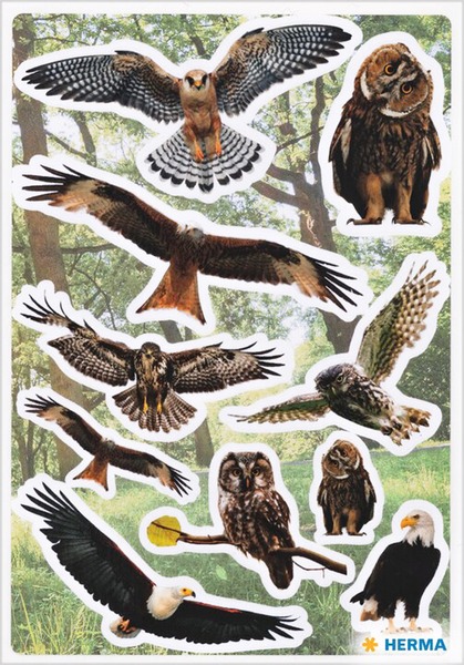 Matrica Herma "Decor" Birds of Prey
