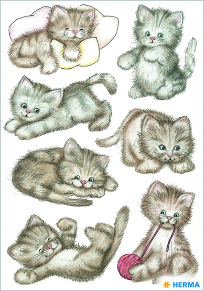 Matrica Herma "Decor" Sweet Cat
