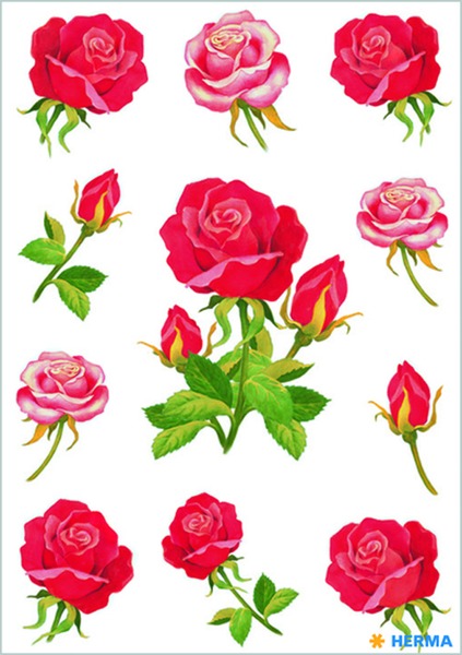 Matrica Herma "Decor" Roses