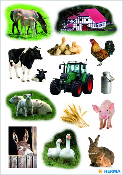 Matrica Herma "Decor" Farm Animals