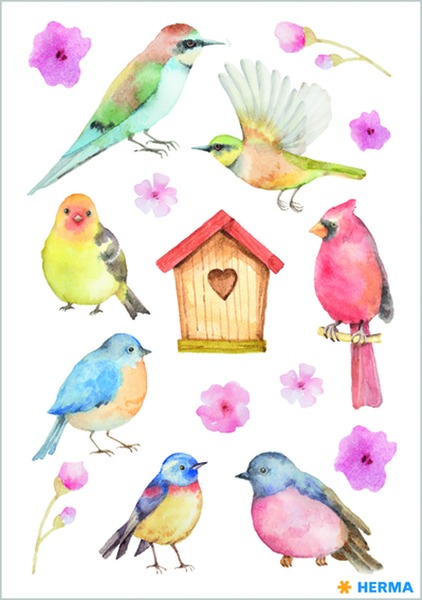 Matrica Herma "Decor" Song Birds