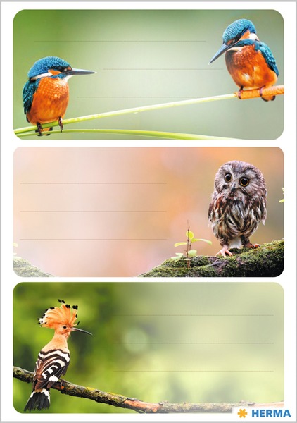 Füzetcímke 3 ív/csomag Herma "Birds"