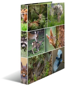 Gyűrűskönyv A/4 35 mm, 2 gyűrűs, karton Herma "Animals" Forest