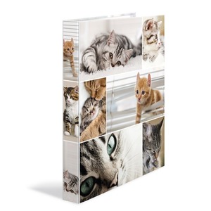 Gyűrűskönyv A/4 4 gyűrűs, karton Herma "Animals" Cats