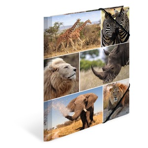 Gumis mappa A/4 karton Herma "Animals" Afrikai állatok