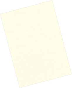Hátlap A/4 250 g, karton Fellowes "Delta" matt elefántcsont