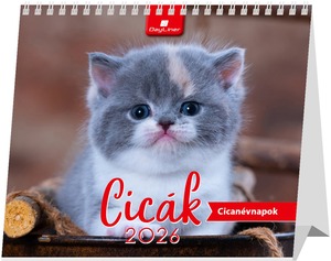 Asztali naptár, álló DayLiner "Cicák" fehér