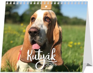 Asztali naptár, álló DayLiner "Kutya" fehér