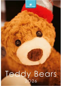 Falinaptár 23x33 cm spirálozott DayLiner "Teddy"