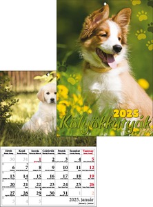 Falinaptár A/4 tűzött T-Calendar "Kutyák"