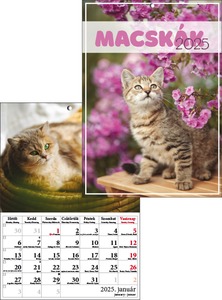 Falinaptár A/4 tűzött T-Calendar "Cicák"