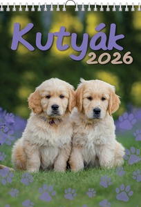 Falinaptár 23x33 cm spirálozott T-Calendar "Kutyák"