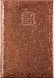 Határidőnapló A/5 napi DayLiner "Mirror" bronz