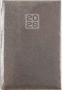 Határidőnapló A/5 napi DayLiner "Mirror" ezüst