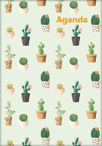 Határidőnapló A/5 heti DayLiner "Colors" Cactus