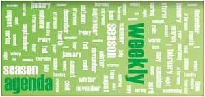 Zsebnaptár heti, fekvő DayLiner "Colors"  Words