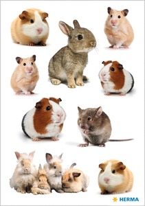 Matrica Herma "Decor" Rodent Family