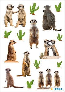 Matrica Herma "Decor" Meerkats