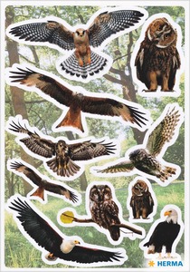 Matrica Herma "Decor" Birds of Prey