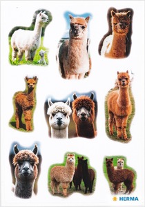 Matrica Herma "Decor" Alpacas