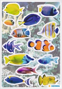 Matrica Herma "Decor" Coral Fishes